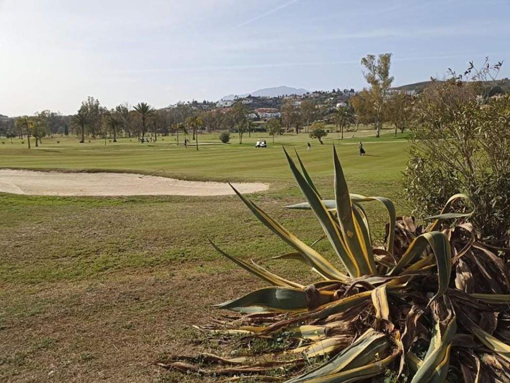 Apartamento Le Joyau Andalou Estepona Exterior foto